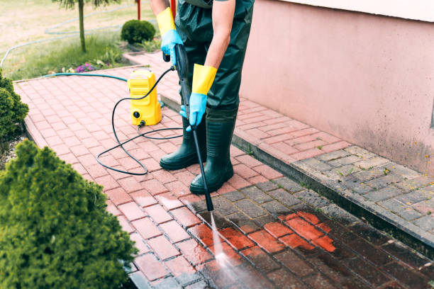 Best Commercial Building Pressure Washing  in Rock Valley, IA